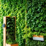Meu Jardim Vertical com Irrigação Automática Barata
