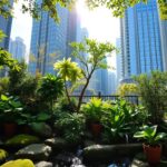 Mini floresta urbana