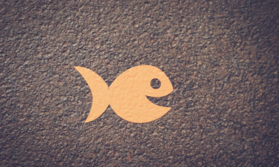App para Localizar Peixes: Guia Prático