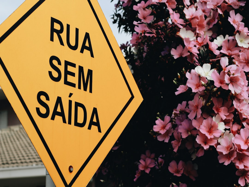 Quem Viu Seu Perfil: Guia Completo