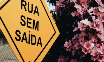 Quem Viu Seu Perfil: Guia Completo